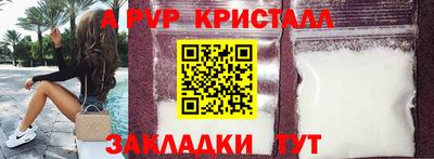шишки Владимир