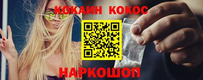 шишки Владимир