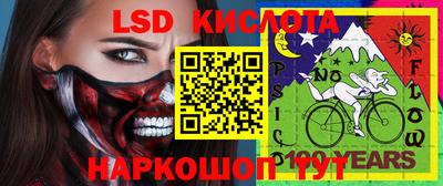 шишки Владимир