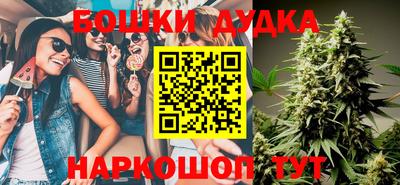 СК Владикавказ
