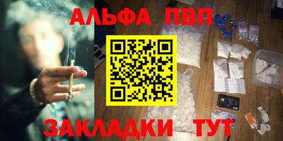 шишки Владимир